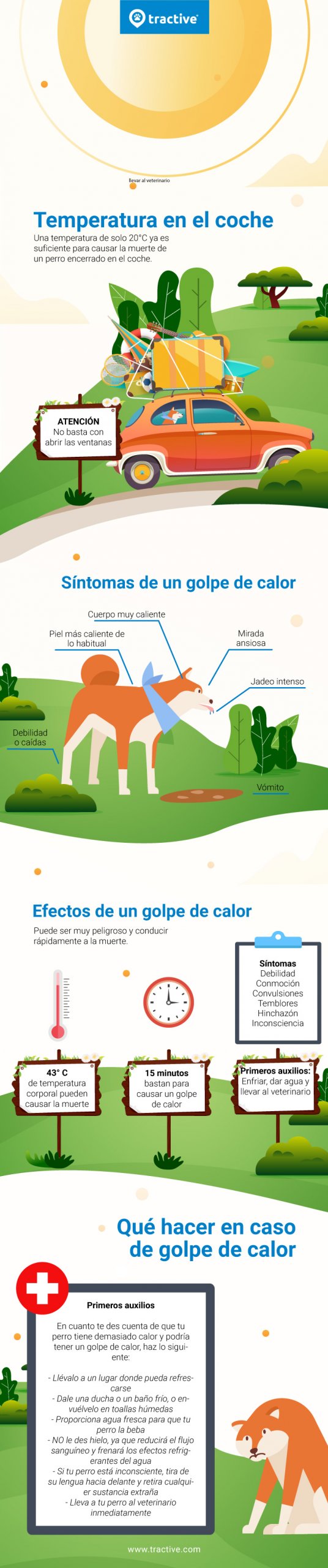 Infografía sobre el golpe de calor en perros: temperaturas, síntomas y tratamiento.