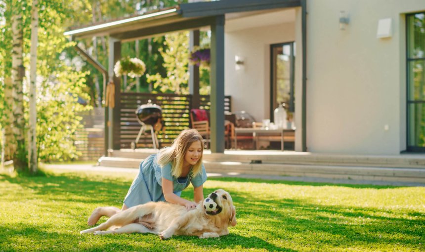 young girl in blue dress and golden retriever dog playing with a ball on the front yard