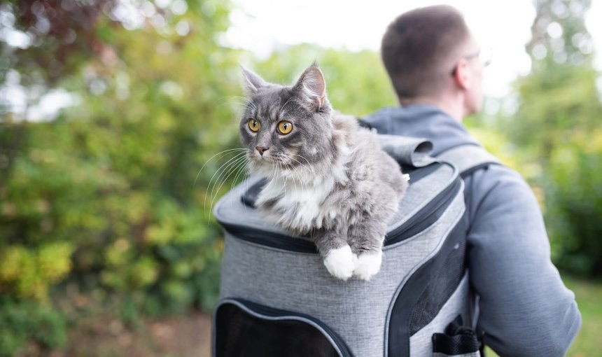 A man carrying his cat in a backpack