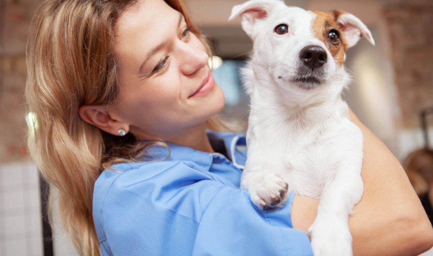 femme tenant un petit chien blanc et brun dans les bras, tourné vers le photographe