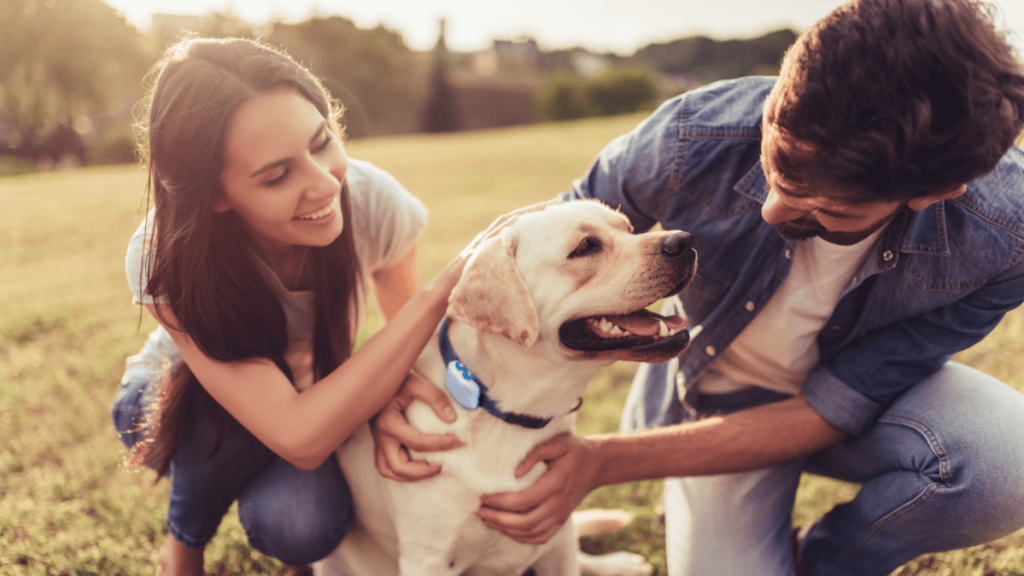 Man and woman with dog