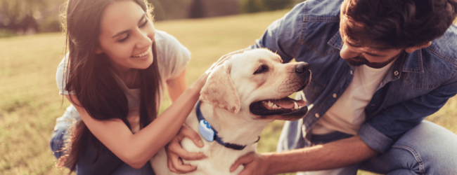 A man and woman hugging a dog wearing a Tractive GPS