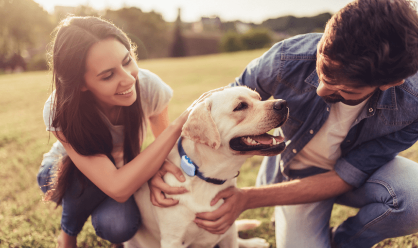 A man and woman hugging a dog wearing a Tractive GPS