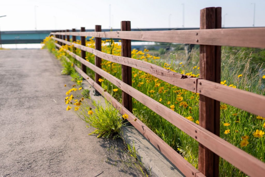 Hundezaun aus Holz trennt Blumenwiese und Straße