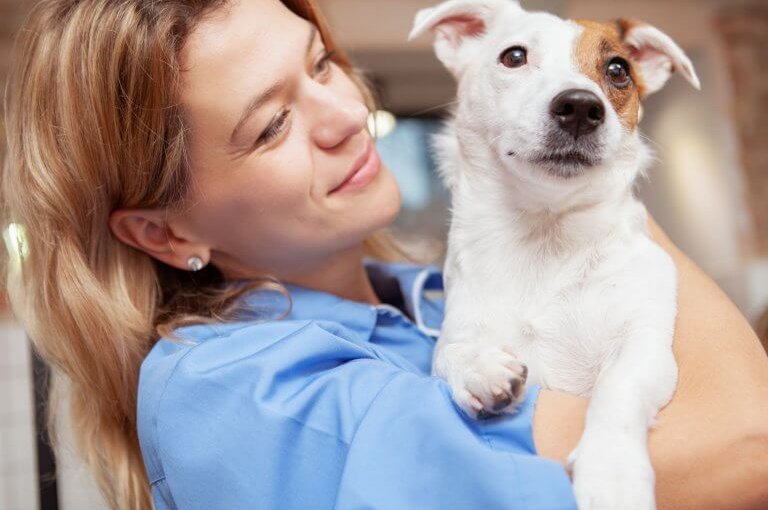 Blonde Frau mit braun-weißem Hund auf dem Arm