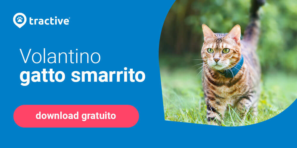 Volantino gatto smarrito di Tractive da scaricare gratuitamente