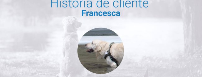 Perro perdido en las montañas: la historia de cómo el localizador GPS de Tractive fue un verdadero salvavidas