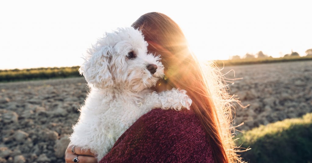 Frauchen hält ihren weißen Hund endlich wieder in den Armen in einem Feld