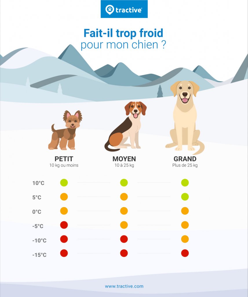 tableau montrant quand il fait trop froid d'après la taille du chien