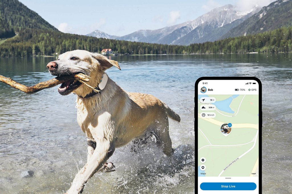 Illustration de la fonction de suivi dans l'application Tractive GPS avec un chien de race Labrador beige portant un traceur GPS pour chien en arrière-plan.