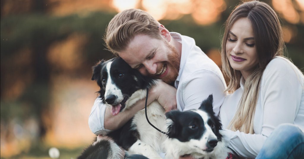 un homme et une femme faisant des câlins à deux border collies, assis dans la nature