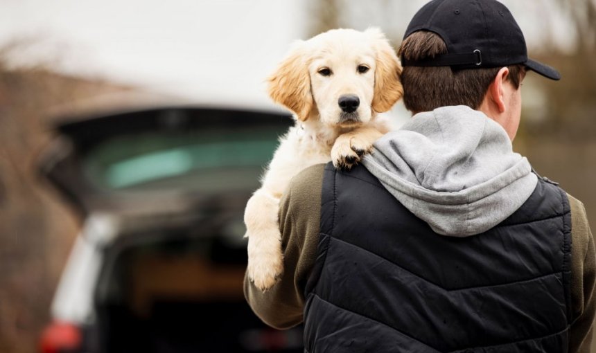 homme en veste noire portant un chien sur l'épaule vers le coffre ouvert d'une voiture