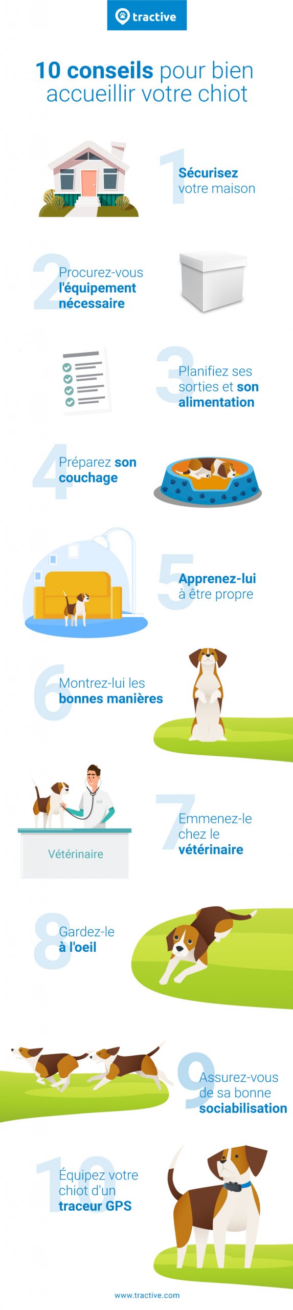 infographie 10 astuces pour prendre bien soin d'un chiot avec illustrations