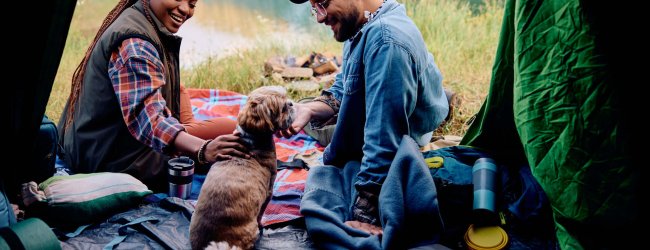 A couple sitting in a camping tent with a small dog