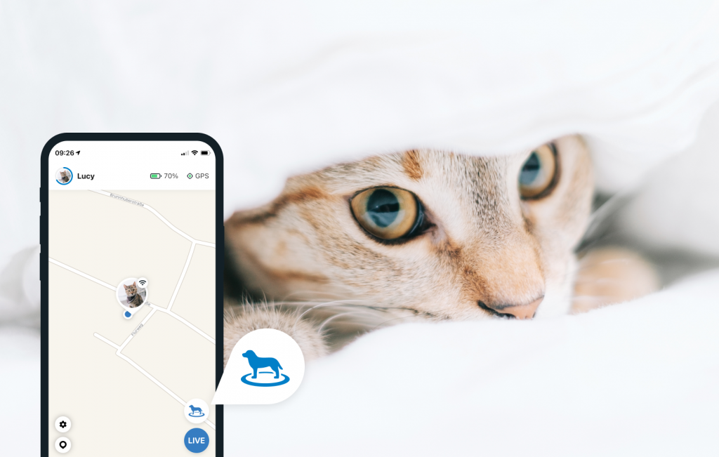 chat qui se cache dans des draps blancs, écran de l'application Tractive