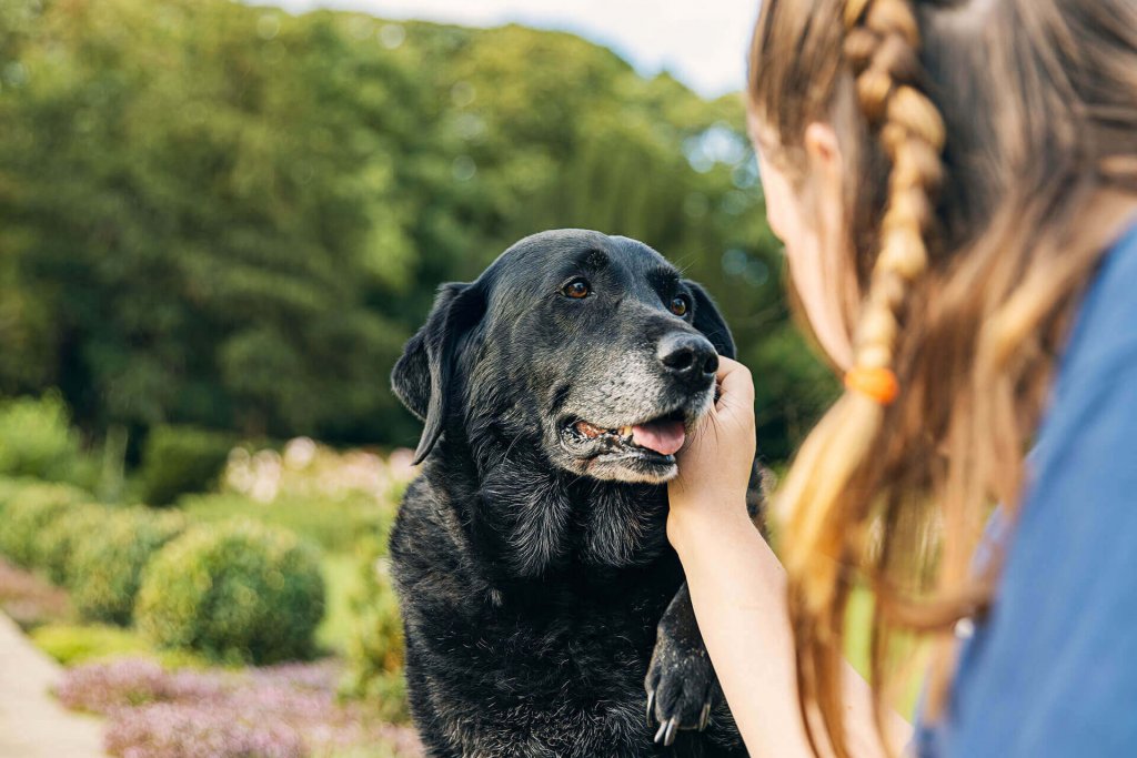 Hundebesitzerin streichelt schwarzen Hund