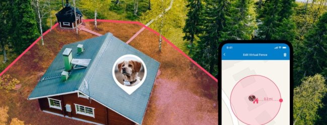 Localizador para perros GPS de Tractive