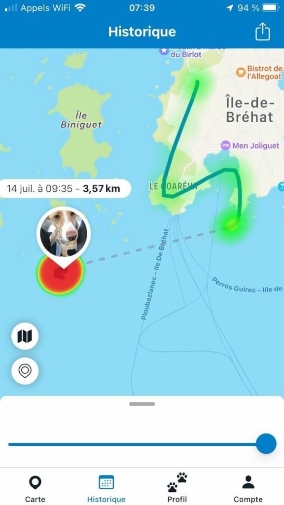 capture d'écran de l'historique tractive montrant un trajet qui finit au milieu de la mer