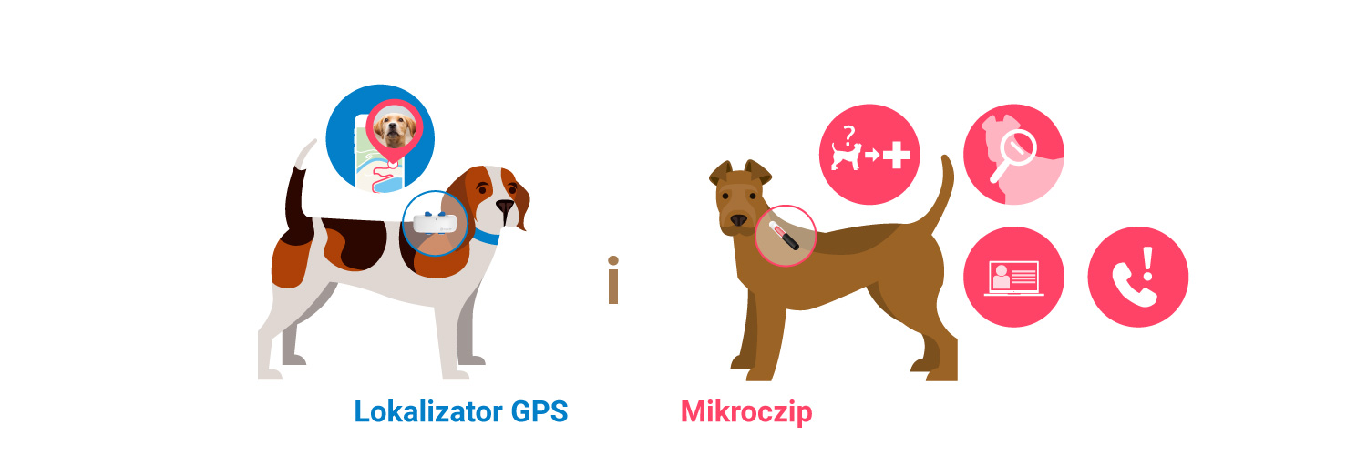 ilustracja przedstawiająca dwa psy: jeden z nich ma wszczepiony mikroczip, a drugi ma przy obroży lokalizator GPS, czip do śledzenia psa