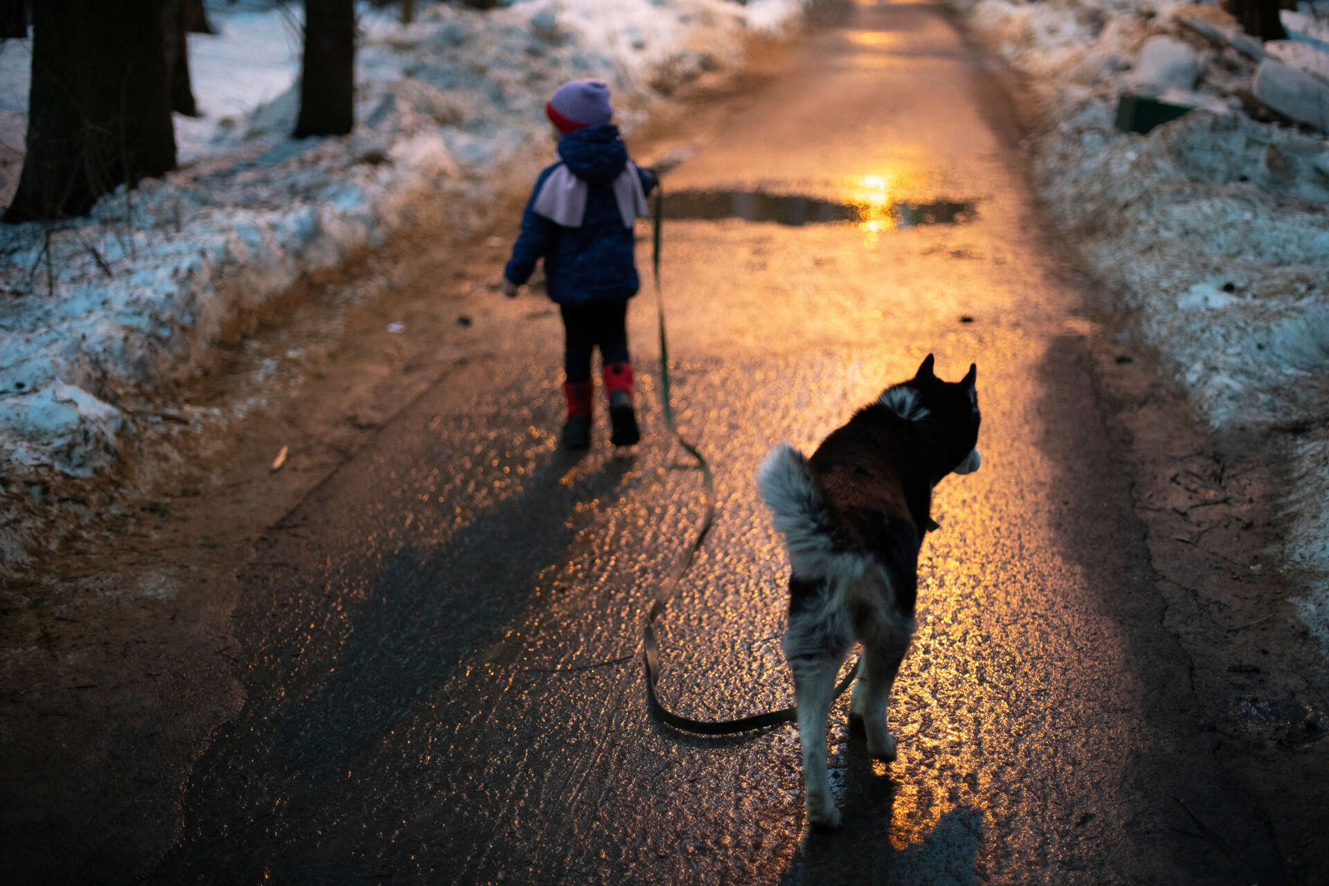 A child walking a dog at nighttime