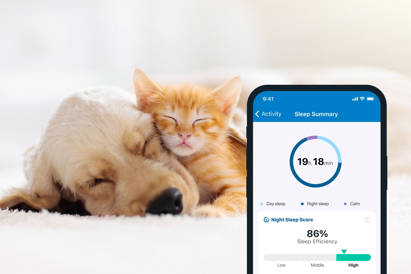 Hund und Katze schlafen zusammengekuschelt neben Tractive App Screenshot von Schlaftracking