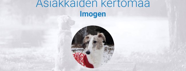 Asiakkaiden kertomaa - Imogen