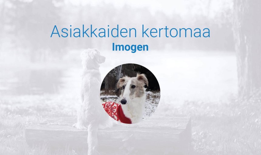 Asiakkaiden kertomaa - Imogen