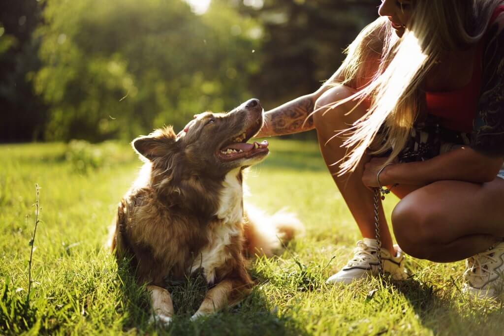 Dueña con su perro