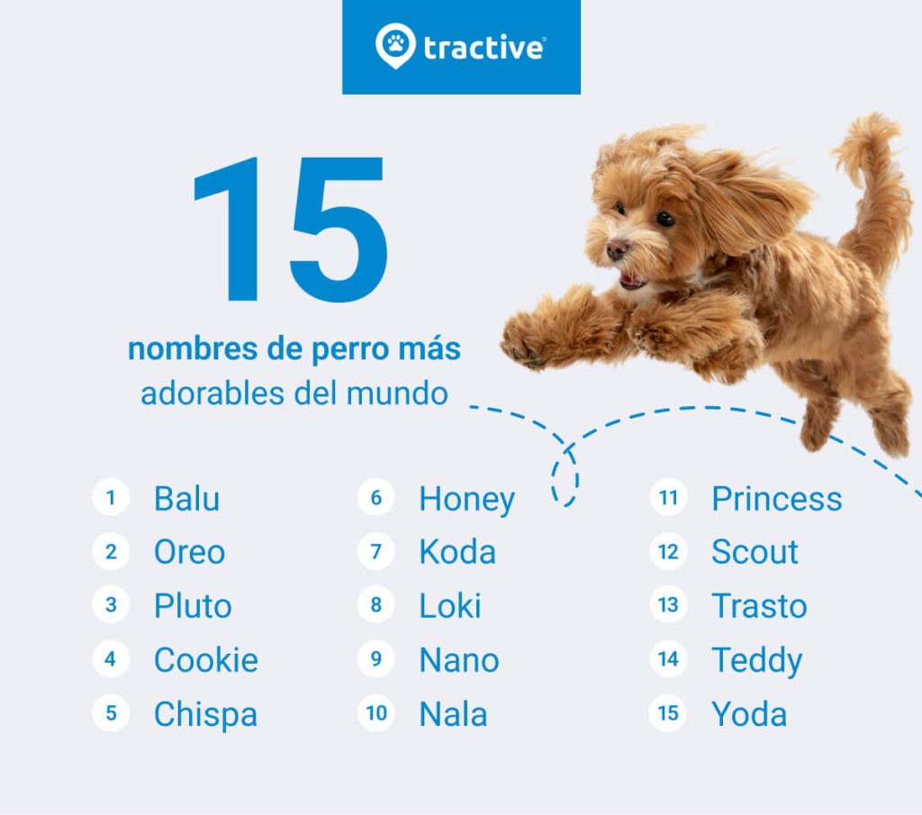 15 nombres más adorables del mundo