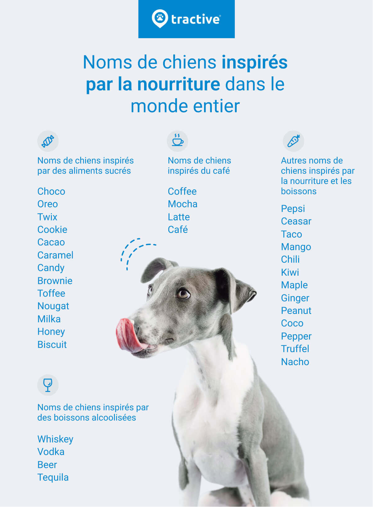 Les noms de chien liés à la nourriture