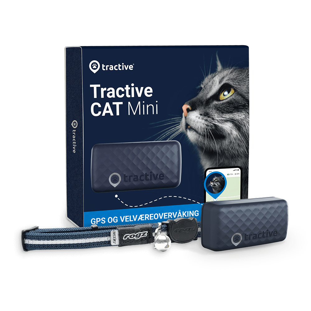 Bilde av emballasjen til Tractive CAT Mini