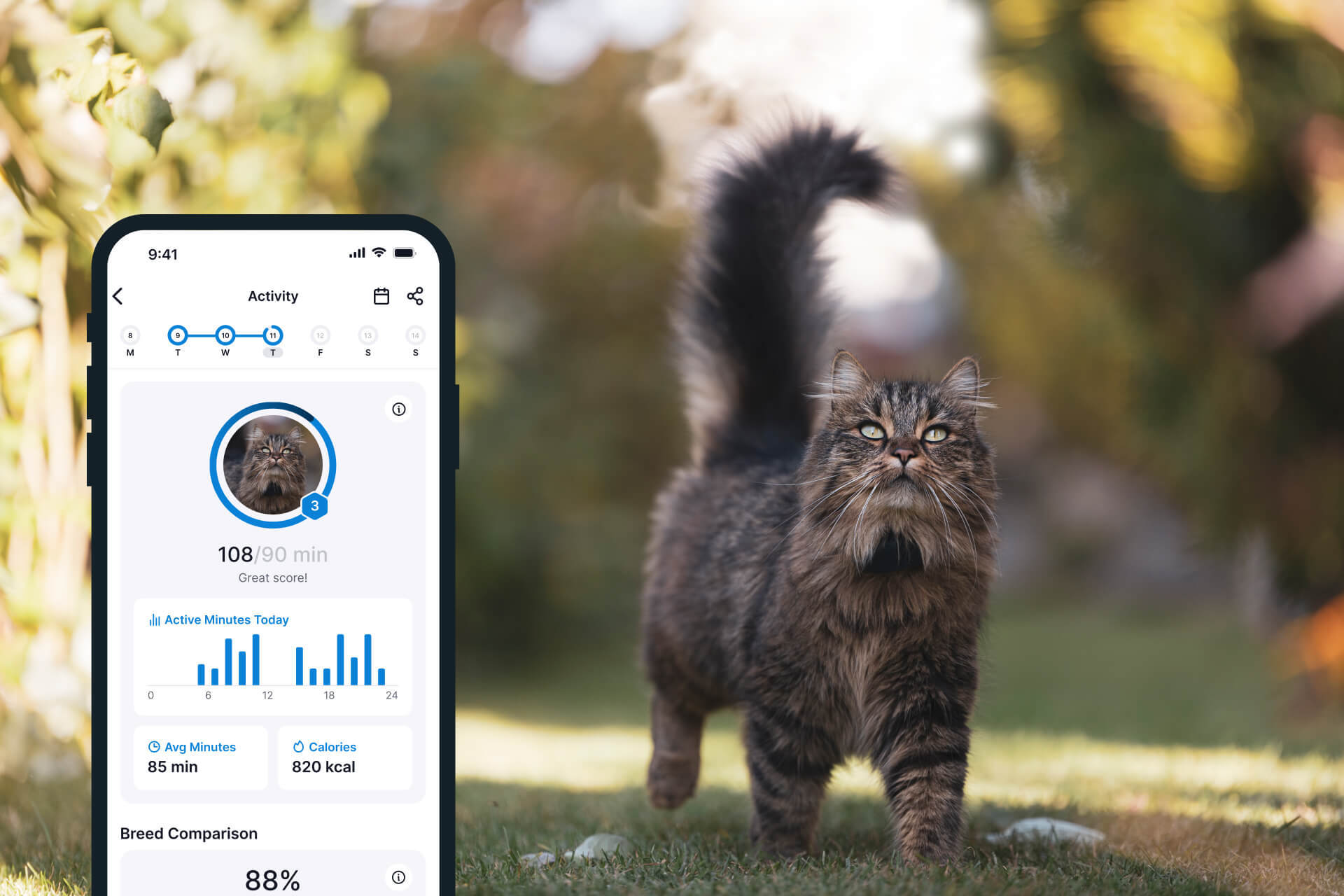 Aktivitätstracking in der Tractive App, daneben langhaarige Katze