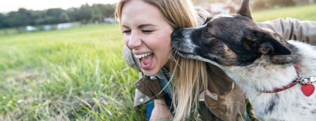 chien qui lèche le visage d'une femme au milieu d'un champ