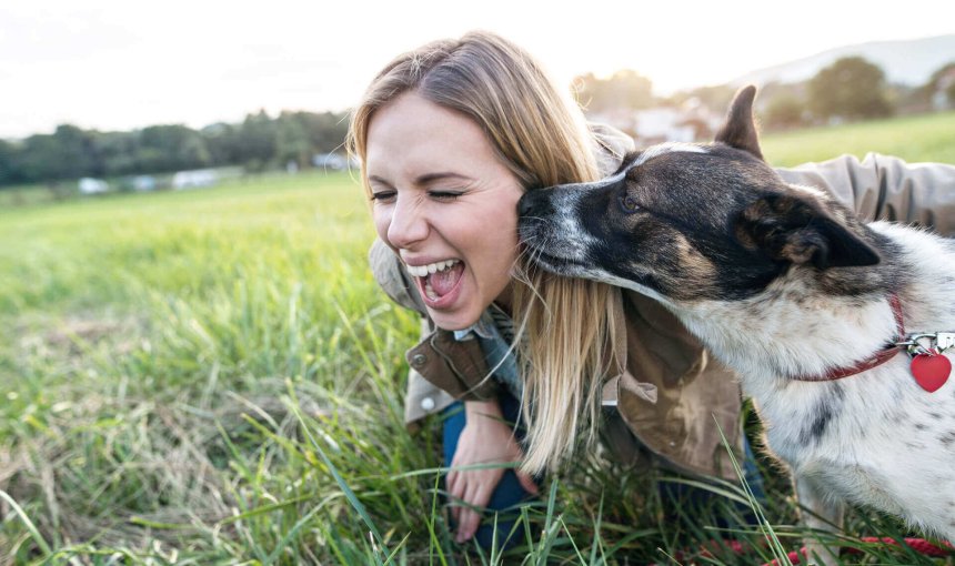 chien qui lèche le visage d'une femme au milieu d'un champ