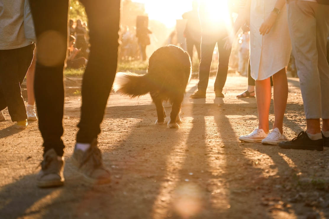 Besitzer geht mit Hund im Sonnenuntergang spazieren