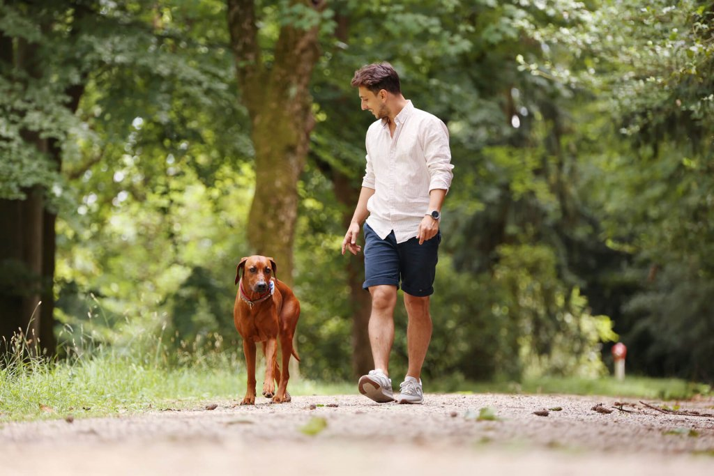 Mann beim Gassi gehen mit Hund im Grünen