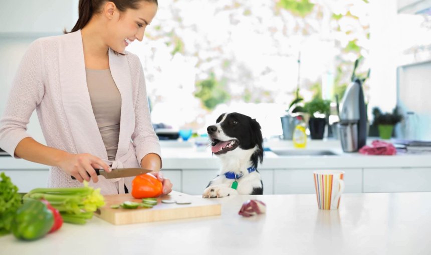 Frau schneidet in der Küche Gemüse, Hund sieht zu ihr rauf