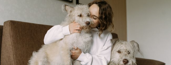 woman sitting on a couch next to two dogs