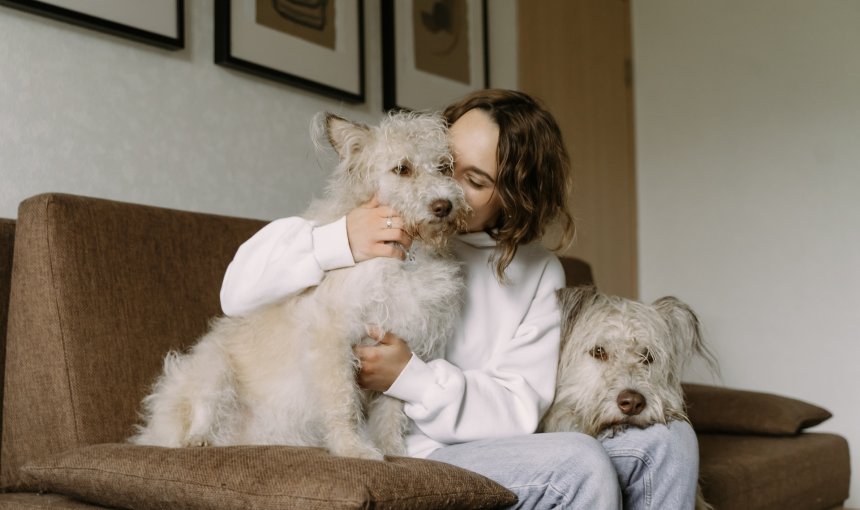 woman sitting on a couch next to two dogs