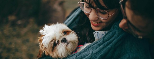 couple holding small dog