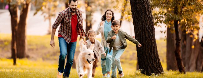 Familie läuft mit Hund in der Wiese