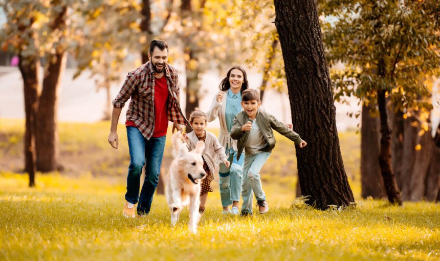 Familie läuft mit Hund in der Wiese