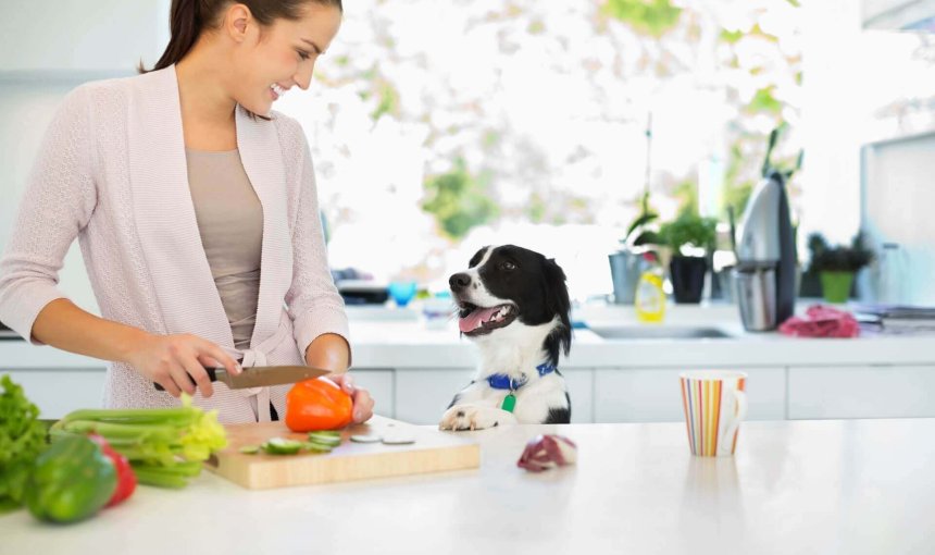 jeune femme coupant du céleri et d'autres légumes sur une planche à la cuisine avec un chien qui la regarde