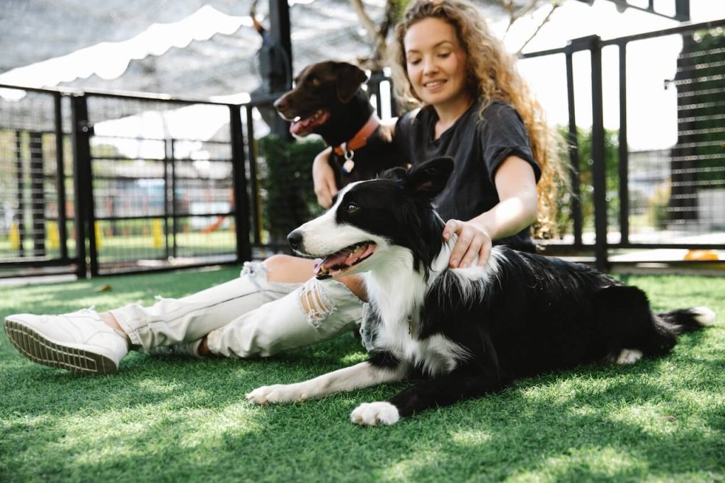 jeune femme assise sur du gazon artificiel dans un enclos caressant deux chiens noirs et blancs