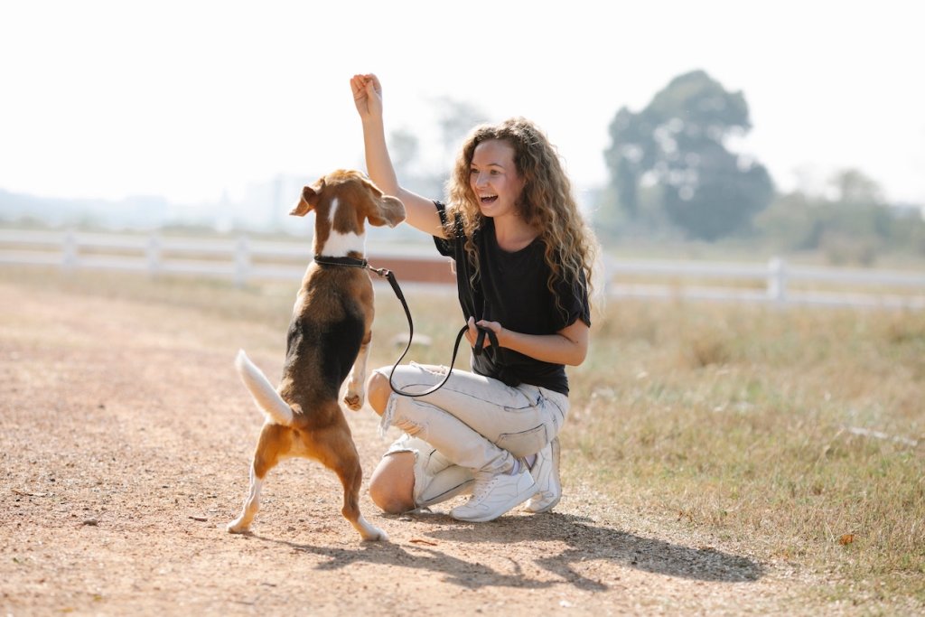 Frau trainiert mit Hund im Freien