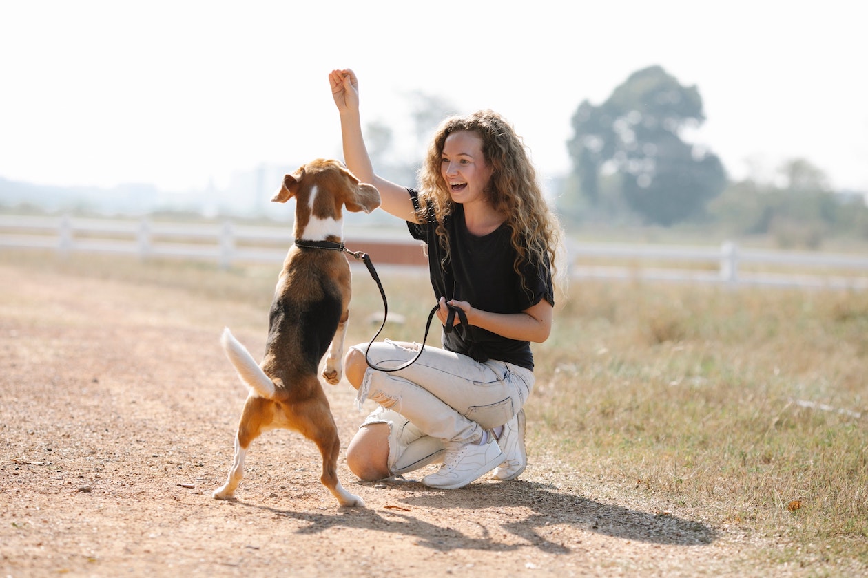 Une femme qui entraîne son chien en plein air