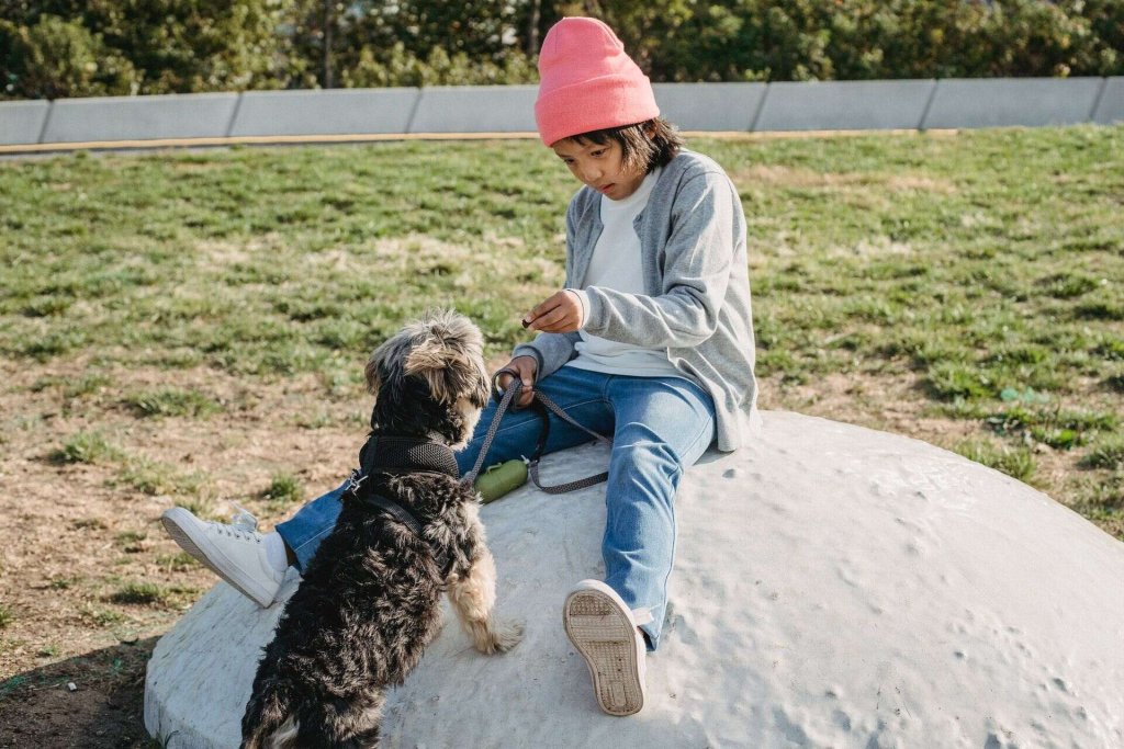 A child gives his dog a treat after they succesfully complete the Sit command.