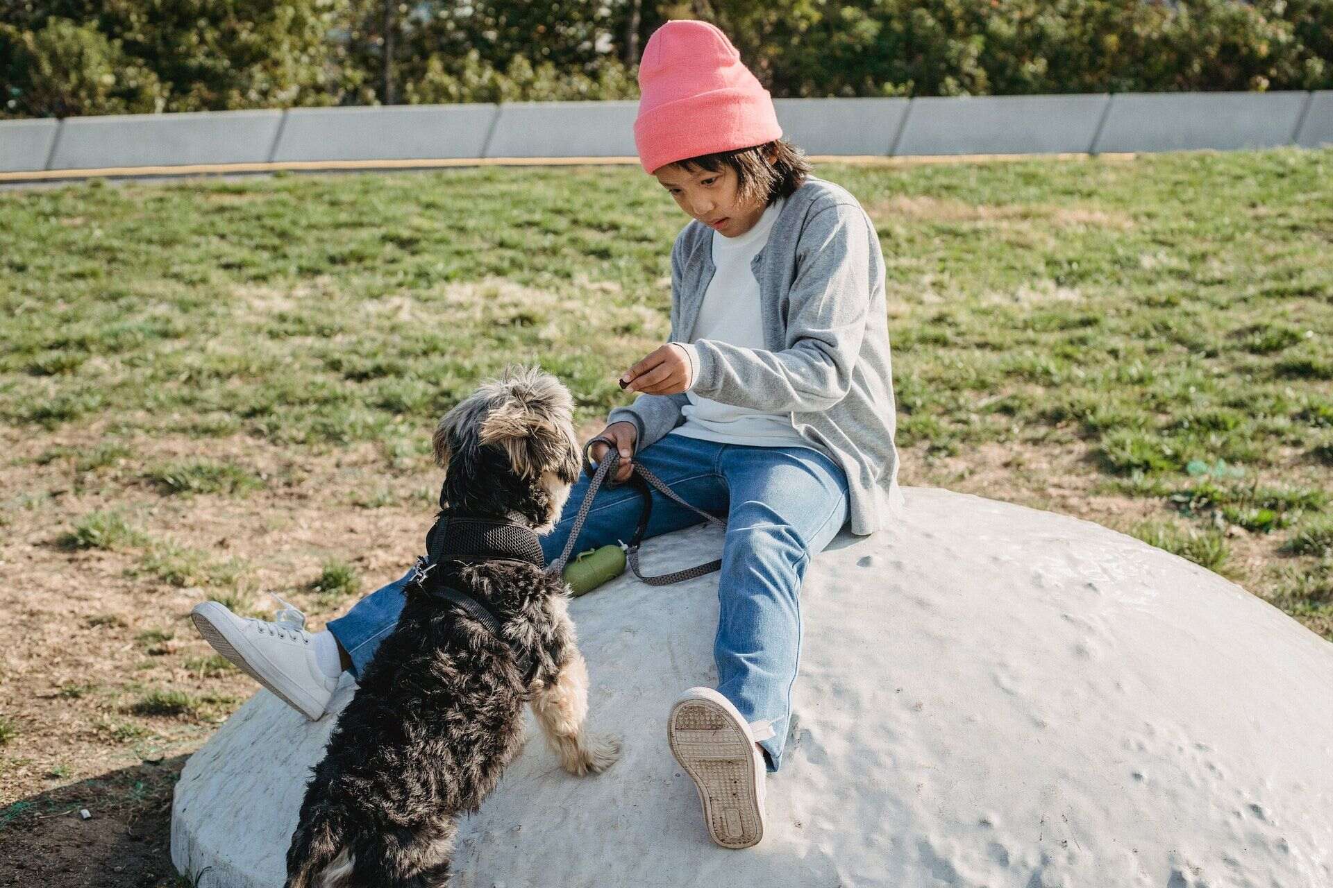 Een kind geeft zijn hond iets lekkers nadat hij het commando 'zit' heeft gegeven.