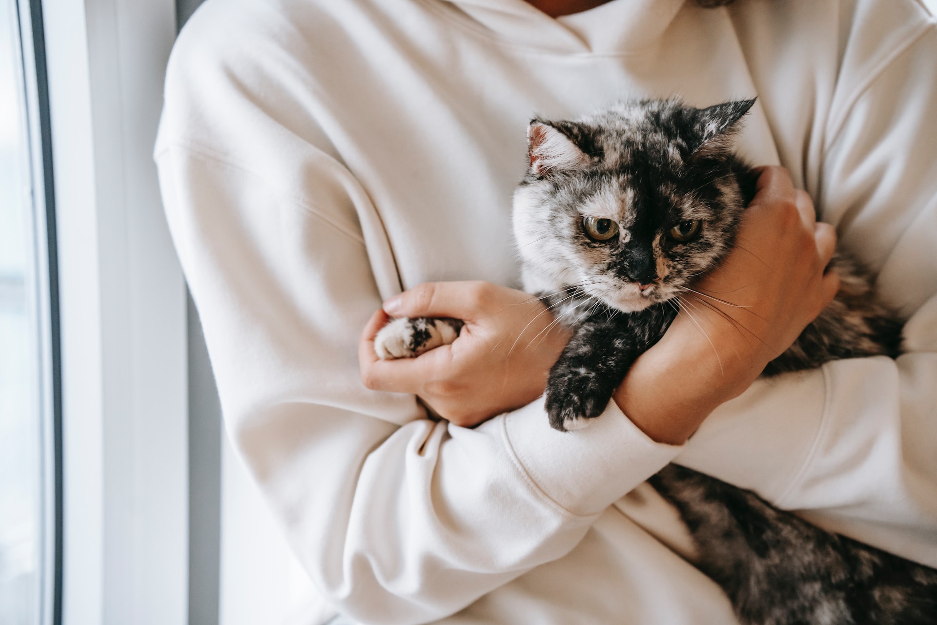 A woman hugging a cat