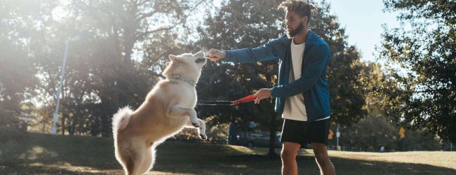 A man training his dog at a park